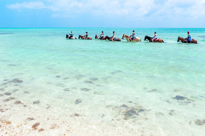 Group Beach and Ocean Horseback Adventure in Providenciales - Beach riding and surf views: what happens during the ride