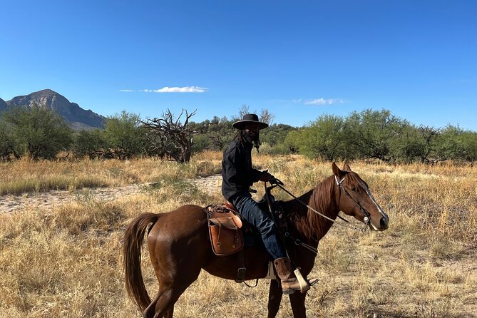Guided 90 Min Horseback Ride Catalina State Park Coronado Forest - Santa Catalina Mountains Photo Breaks and Scenic Pauses