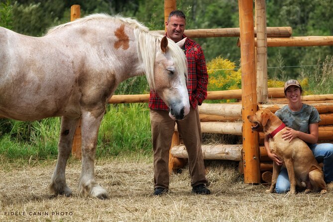 Guided Horse Riding in the Bay of Saint Paul Valley - Getting started at 157 Chem. Saint-Ours