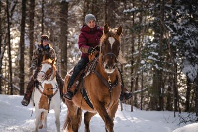 Guided Horse Riding in the Bay of Saint Paul Valley - Price and value: what $82.42 really covers