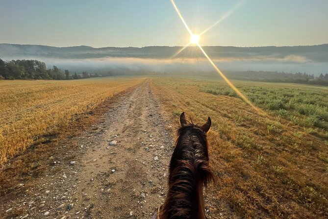 Guided Horse Riding in the Bay of Saint Paul Valley - What’s included, and the one thing you must bring