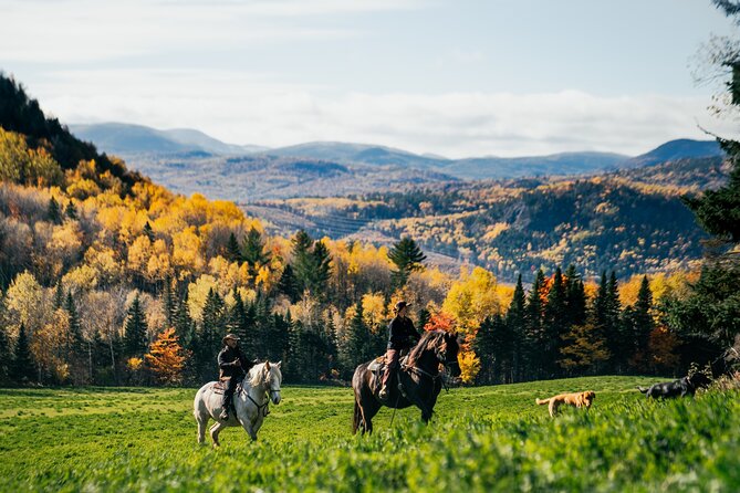 Guided Horse Riding in the Bay of Saint Paul Valley - Timing and pace: about an hour, with a calm rhythm