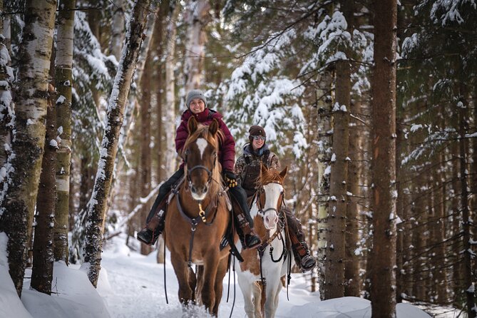 Guided Horse Riding in the Bay of Saint Paul Valley - Who should book this ride (and who should skip it)