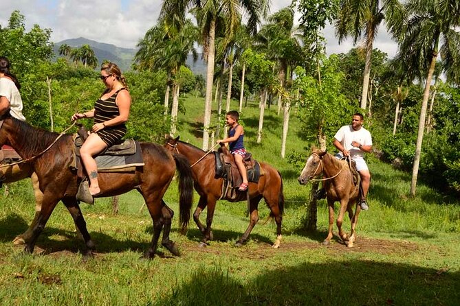 Guided Horseback Ride On The Beach With Pickup From Punta Cana - Key highlights worth planning around