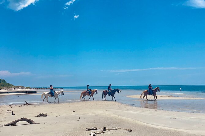 Guided Horseback Riding on The Pristine Waters of Miami Florida - Entering Virginia Key: Where the Ride Starts and Why It’s Special