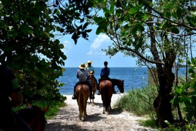 Guided Horseback Riding on The Pristine Waters of Miami Florida - How the Guides Shape the Experience (and Who You Might Meet)