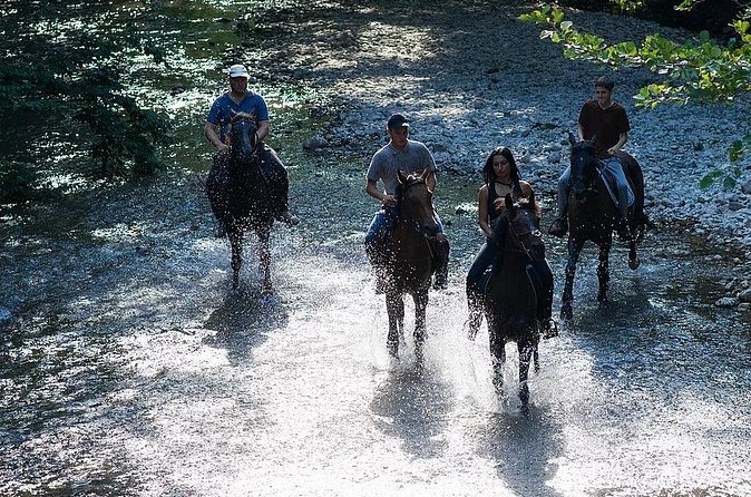 Guided Horseback Tour only 30 mins from Sedona. - Who this horseback tour fits best (and who might want to rethink it)