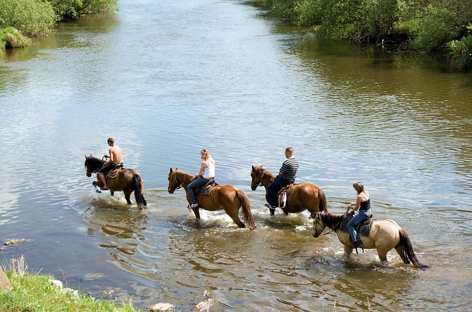 Guided Horseback Tour only 30 mins from Sedona. - Price check: does $137 make sense for a 1-hour guided ride?