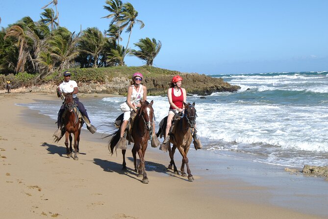 Half Day Buggies and Horseback Experience in Punta Cana - Macao Beach Stop: Blue Water Views and the Horse Question