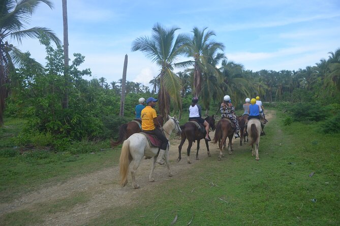 Half Day Buggies and Horseback Experience in Punta Cana - Horseback Riding at the Ranch: How to Make It Worth It