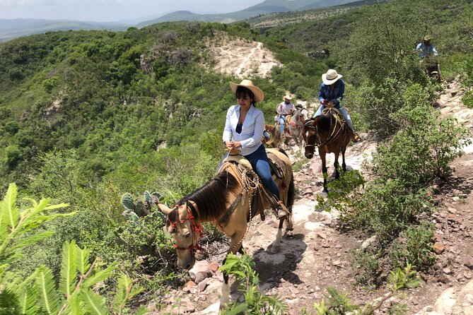 Half Day Excursion - Horseback Riding Adventure in SMA - Hotel Pickup to the Ranch: The Half-Day Flow You’ll Feel
