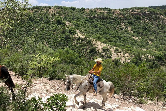 Half Day Excursion - Horseback Riding Adventure in SMA - The Ranch Meal: Cow-to-Table Food With Real Pride
