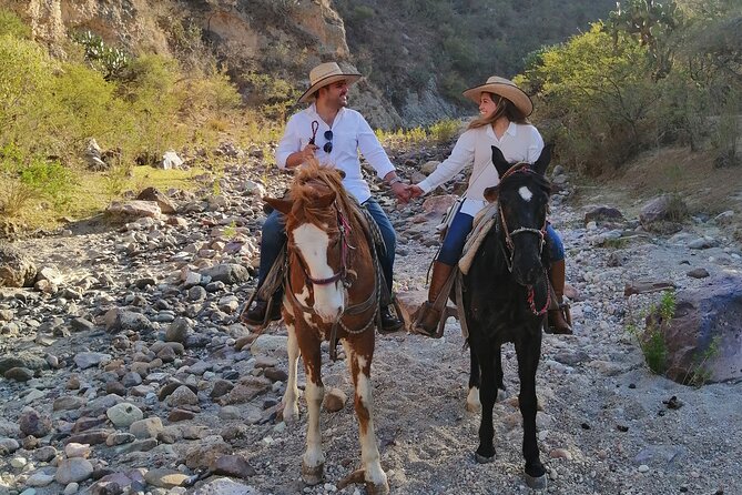 Half Day Excursion - Horseback Riding Adventure in SMA - Cowboy Lessons Start With Cow Milking and Cheese