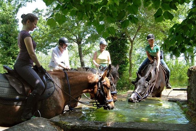 Half-Day Horseback Ride in Tuscany - Where This Half-Day Fits: Montieri Hills Beyond San Gimignano