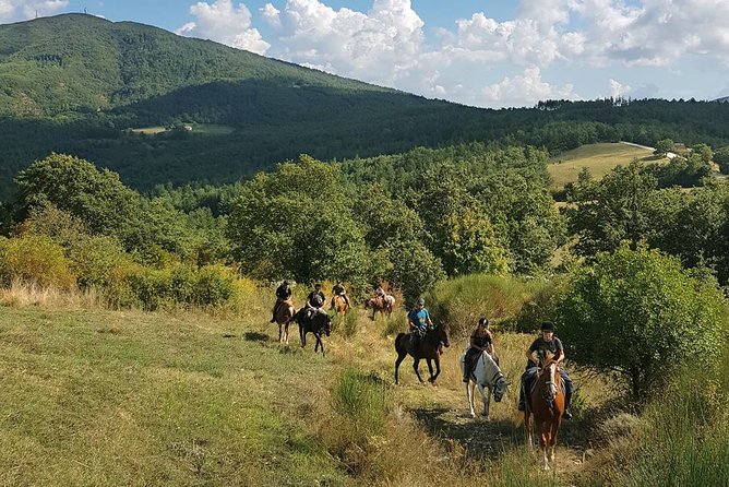 Half-Day Horseback Ride in Tuscany - Horse Matching and Riding Levels: Beginners vs. Experienced Riders