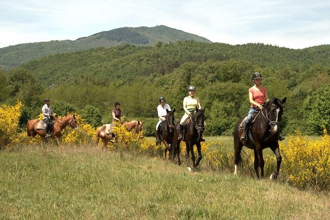 Half-Day Horseback Ride in Tuscany - Montieri Hill: The Climb That Gives You the Coast-View Reward