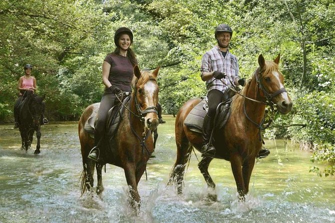 Half-Day Horseback Ride in Tuscany - Pace and the Advanced-Rider Reality Check