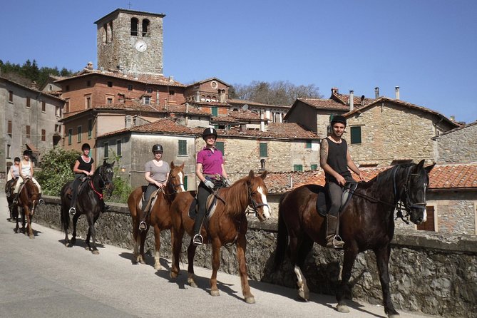 Half-Day Horseback Ride in Tuscany - Horses and Tack: Well-Cared-For Mounts, Independent Nature