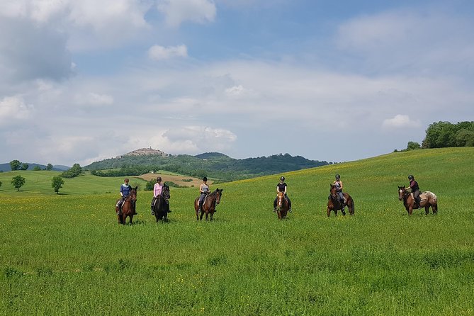 Half-Day Horseback Ride in Tuscany for beginner riders - Beginner lesson and safety gear: what you’ll actually do