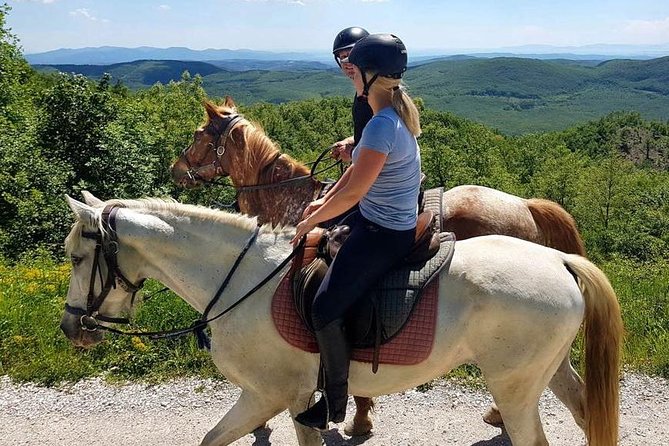 Half-Day Horseback Ride in Tuscany for beginner riders - Montieri Hill: the climb that earns the view