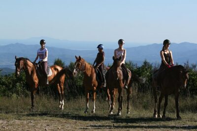 Half-Day Horseback Ride in Tuscany for beginner riders - The route: woods, rivers, meadows, and medieval villages