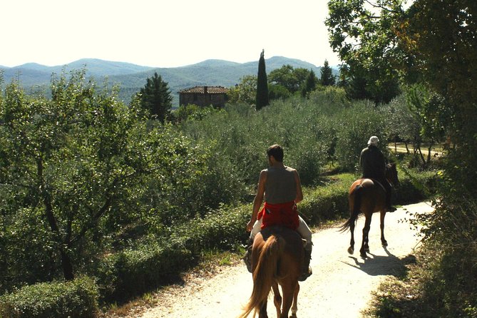 Half-Day Horseback Ride in Tuscany for beginner riders - Pace, fitness, and riding confidence