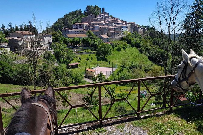 Half-Day Horseback Ride in Tuscany for beginner riders - Price and value: what $120.16 buys you