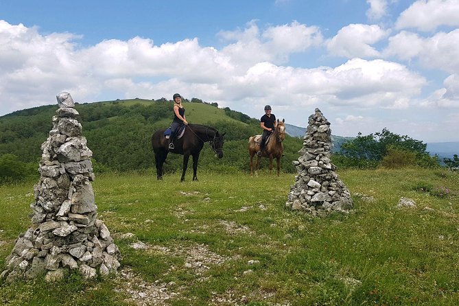 Half-Day Horseback Ride in Tuscany for beginner riders - Morning vs. afternoon: how to plan your timing