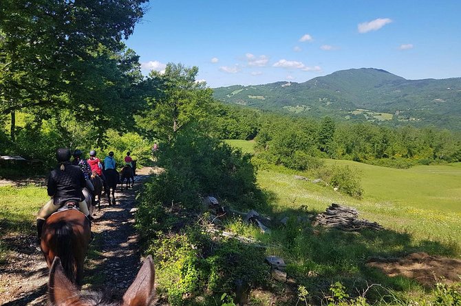 Half-Day Horseback Ride in Tuscany for beginner riders - Should you book this beginner horseback ride near San Gimignano?