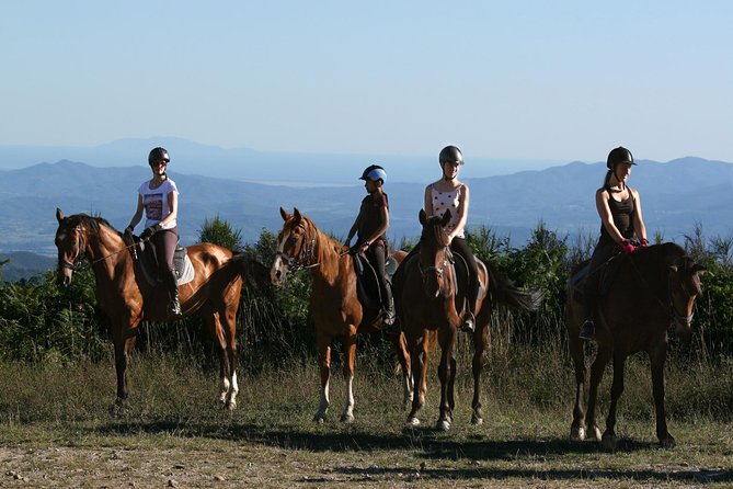 Half-Day Horseback Ride in Tuscany for beginner riders - The route: woods, rivers, meadows, and medieval villages
