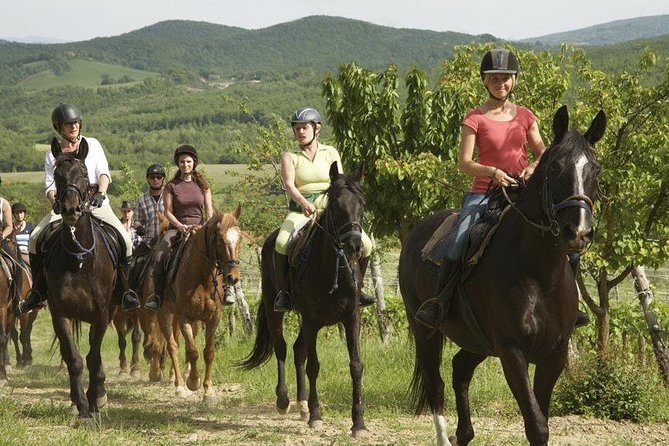 Half-Day Horseback Ride in Tuscany - The Route: Towns, Woods, Streams, Meadows, and Valley Views