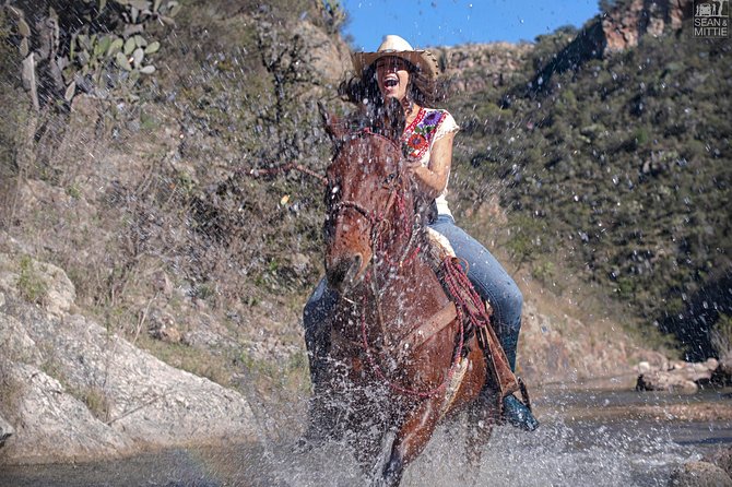 Half-Day Horseback Riding Adventure - Coyote Canyon’s River Crossings and Photo-Stop Views
