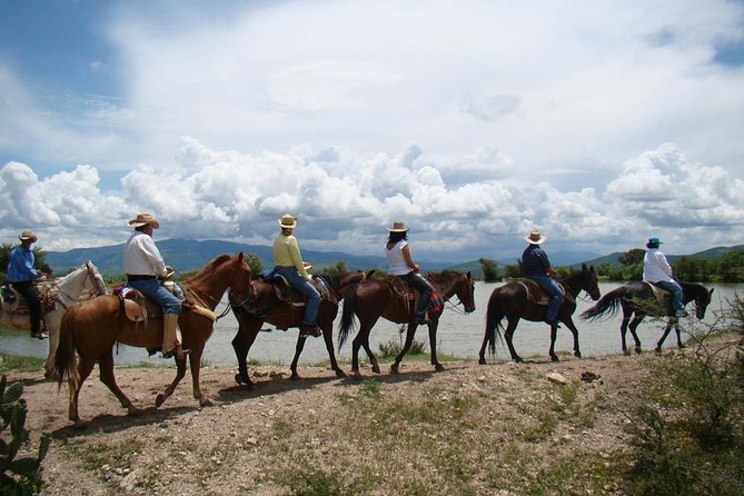 Half-Day Horseback Riding Adventure - Back Along the Plains and Down to La Virgen: Water Crossings Again