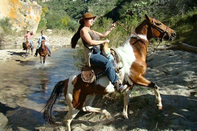 Half-Day Horseback Riding Adventure - The Organic Ranch-Style Meal That Ends the Ride Right