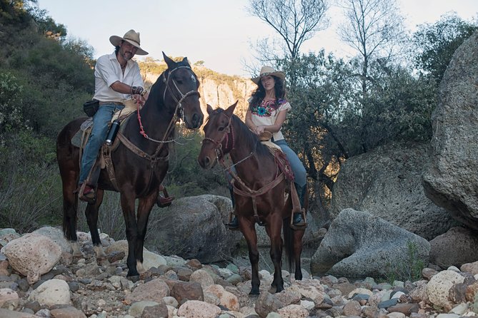 Half-Day Horseback Riding Adventure - Price and Value for a Half Day (and Why It Adds Up)