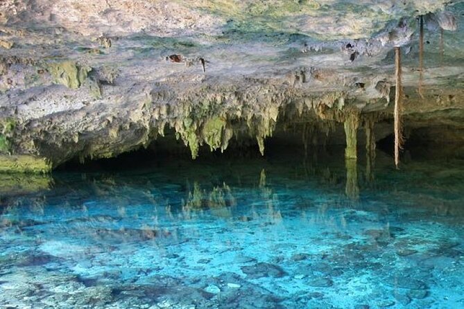Half Day Horseback Riding Adventure with Cenotes in the Jungle - The Horseback Riding in the Mayan Jungle: Short, Scenic, and Not Always What You Expect