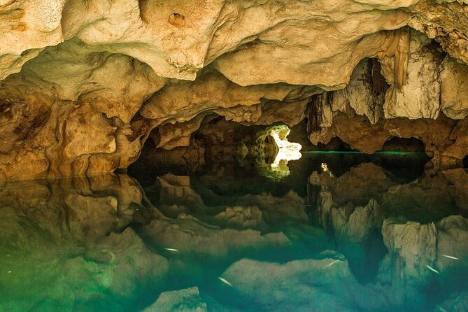 Half Day Horseback Riding Adventure with Cenotes in the Jungle - Price and Value at $127: Where the Money Goes