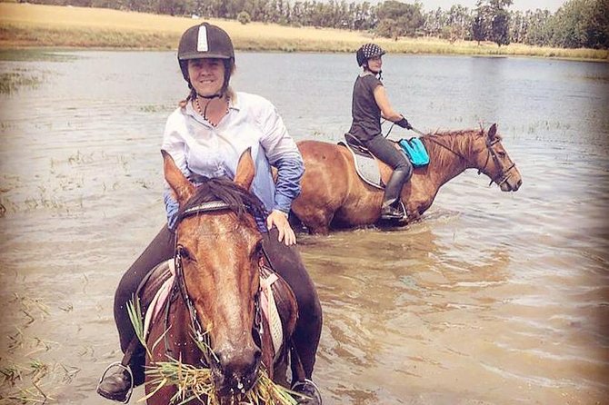 Half Day Horseback Wine Tour - How fast will you actually ride? (It depends on skill)