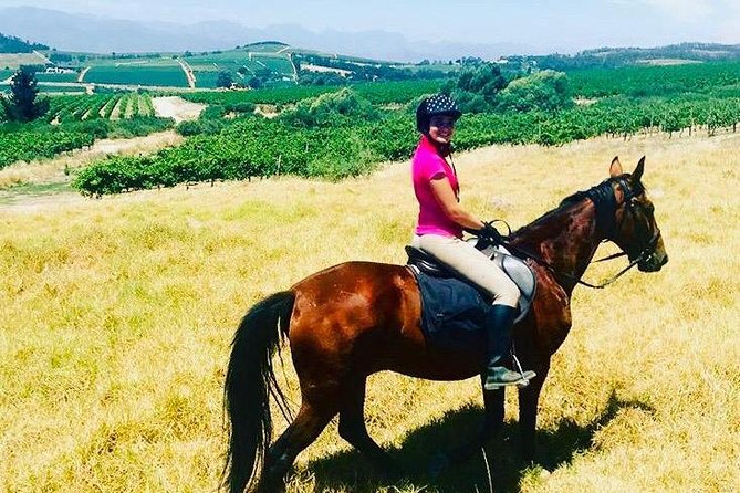 Half Day Horseback Wine Tour - Practical riding tips: what to wear and how to prep