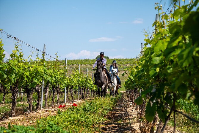 Half-Day of Horseback Adventure with Wine Tasting - Key highlights worth planning around
