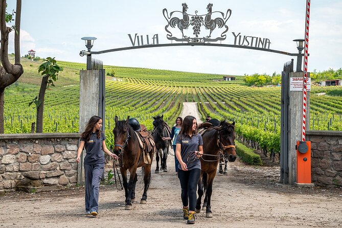 Half-Day of Horseback Adventure with Wine Tasting - From Plovdiv transfers to Yustina Vineyard Park at 9:00am