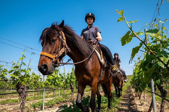 Half-Day of Horseback Adventure with Wine Tasting - Midday riverside break: packed lunch with the right kind of pause