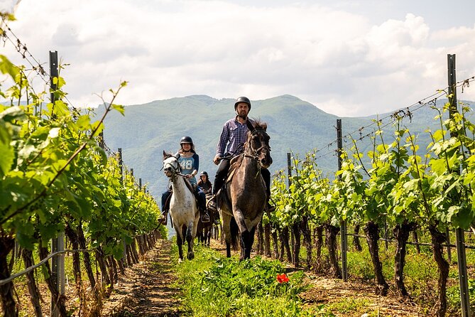 Half-Day of Horseback Adventure with Wine Tasting - Red Church visit: a culture stop you don’t have to plan separately