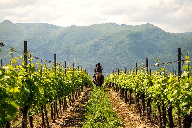Half-Day of Horseback Adventure with Wine Tasting - Wine tasting at Yustina: 18+ pour that ties the day together