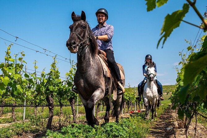 Half-Day of Horseback Adventure with Wine Tasting - Who this horseback-and-wine day suits best (and who should think twice)
