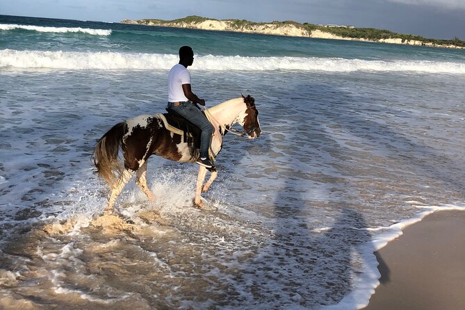 Half-Day Tour 2-in-1, Redonda Mountain & Horseback Riding Tour in Macao Beach - How the 2-in-1 schedule works in a half-day (without feeling rushed)