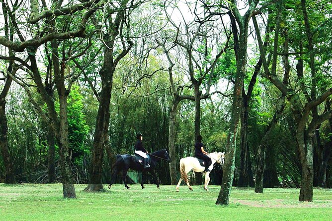 Hanoi Horseback Riding Club & Tours - Exclusive Experience - Key highlights worth your time