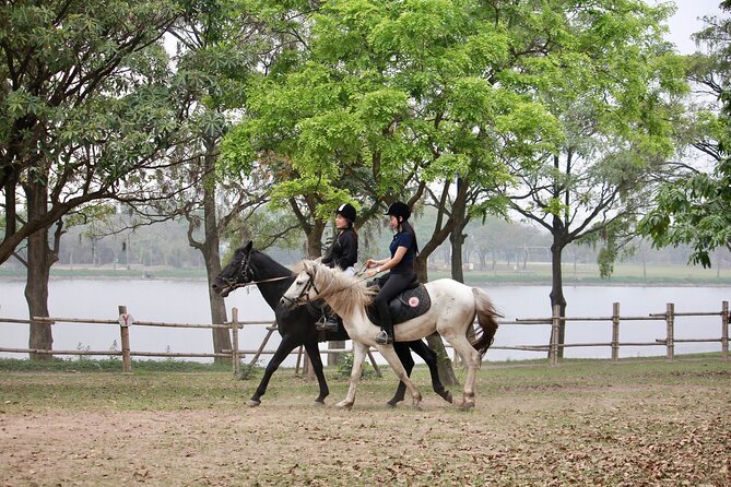 Hanoi Horseback Riding Club & Tours - Exclusive Experience - The training part you’ll be glad you do