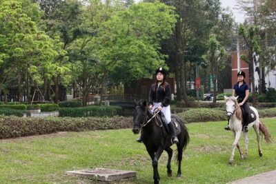 Hanoi Horseback Riding Club & Tours - Exclusive Experience - Price and logistics: what $12 really means