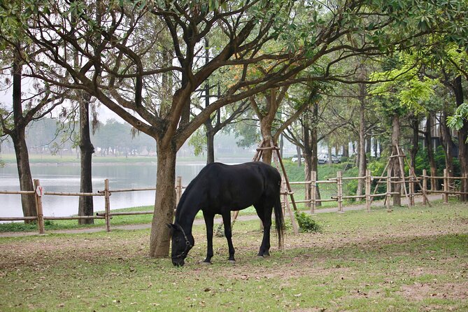 Hanoi Horseback Riding Club & Tours - Exclusive Experience - The optional go-kart break (and why it’s there)